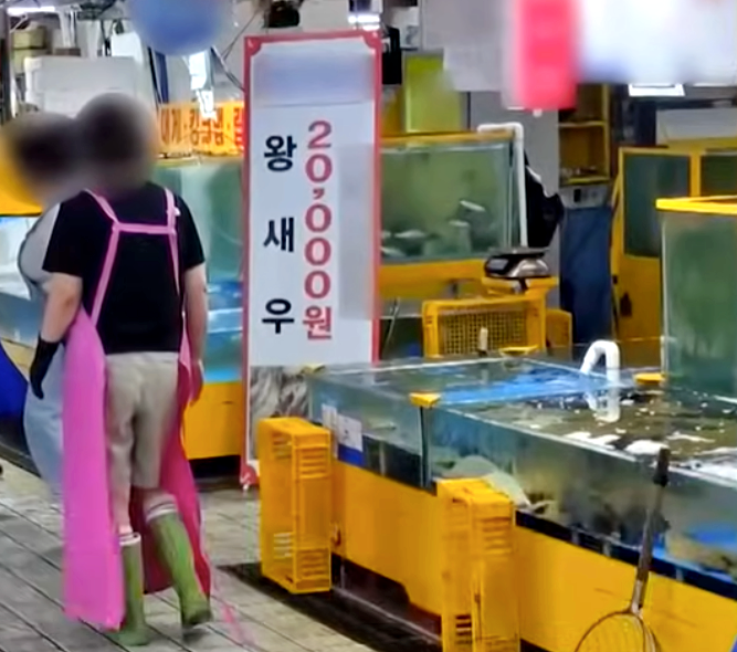 "왜 싸게 파냐" 담합 거절에 흉기 위협 소래포구 상인 송치