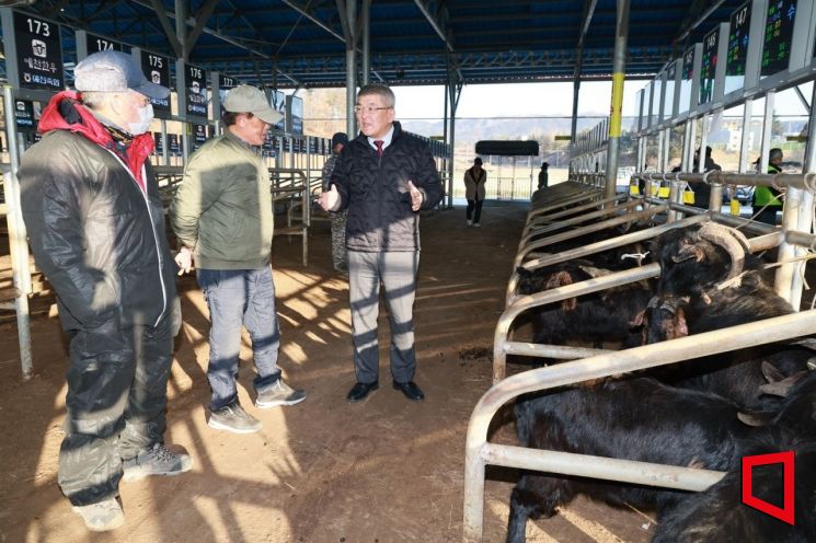 ‘개 식용 이후’를 준비한 현장…예천, 염소로 축산의 길을 다시 묻다