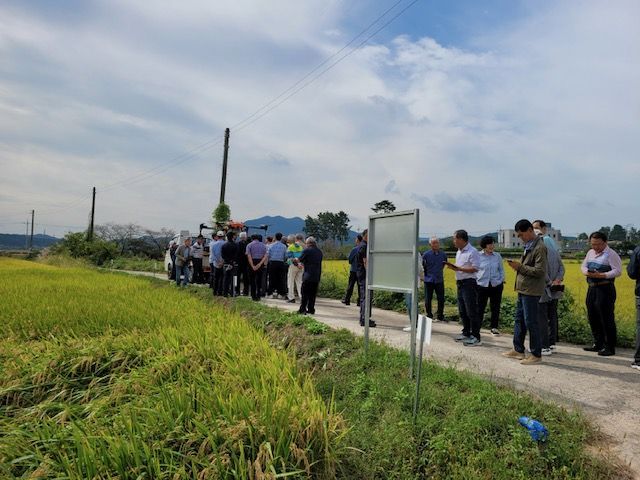 영광군, 신동진벼 품종 일몰…신품종 벼 실증 '농가 선택' 확대