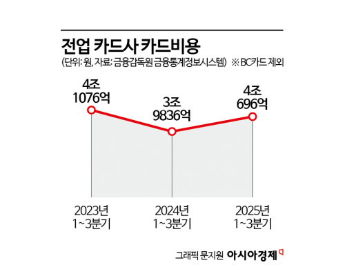 카드사 어렵다지만… 지난해 '근원적 경쟁력' 오히려 높였다