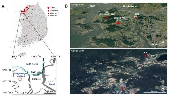 "논이 아닌 관개수로"…강화 DMZ 인근 말라리아모기, 서식지 변화·다중 살충제 내성 확인[과학을읽다]