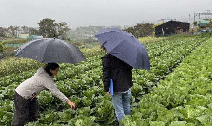부산 기장군, 기후변화 대응 병해충 방제 ‘선제 가동’
