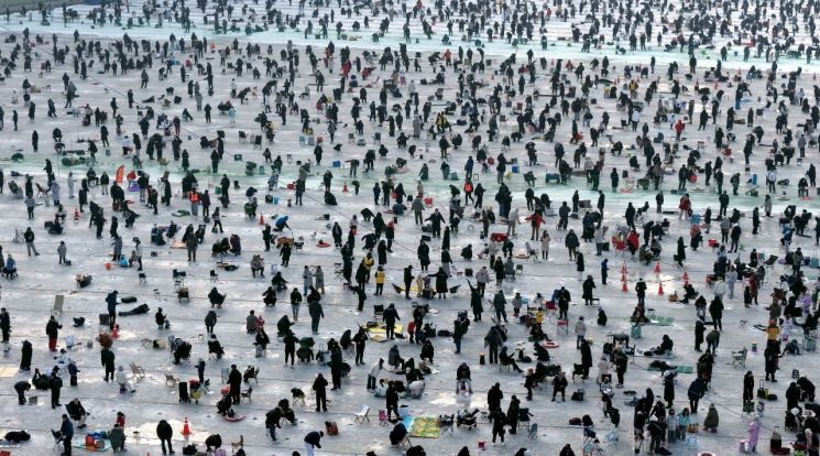 "Anglers Forget the Cold"... Hwacheon Sancheoneo Festival Draws Huge Crowds on Second Weekend