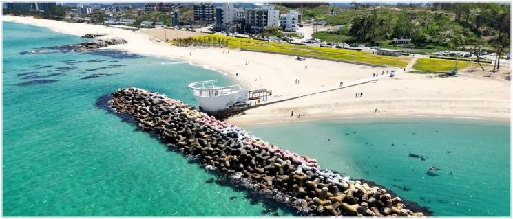 강릉시, 녹지 환경 대변혁…환경과 관광 잇는 힐링 공간 확충