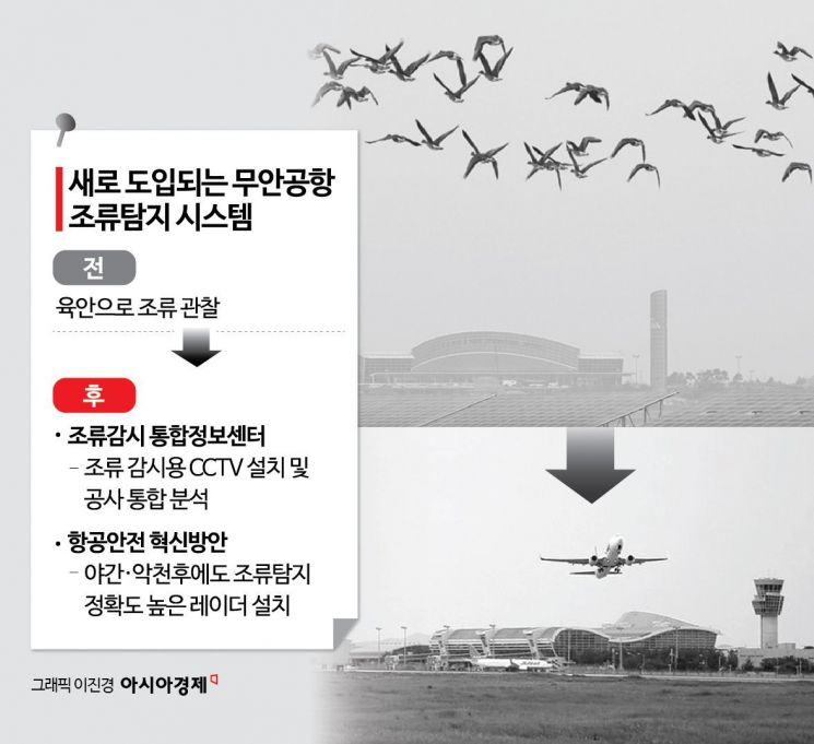 국내 최초 '조류 감시용 CCTV'로 무안공항 버드 스트라이크 막는다