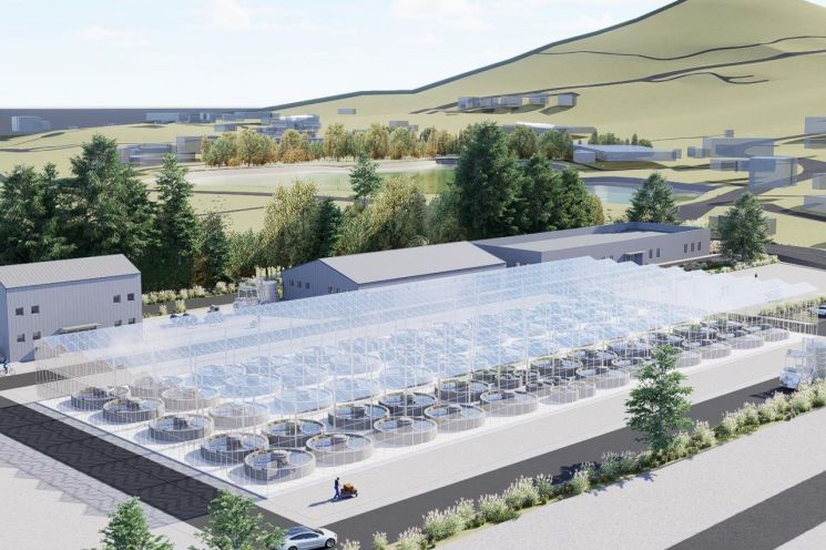 "해조류가 돈 된다"…완도, 해양바이오 육성 '올인'