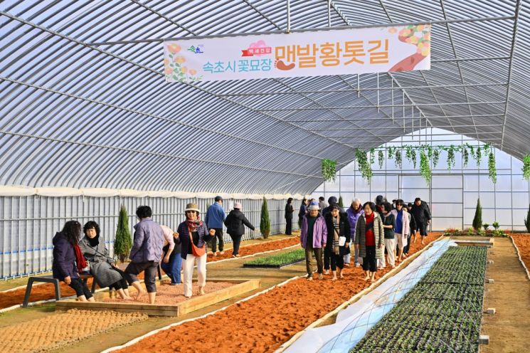 속초시 꽃묘장 맨발 황톳길 ‘인기’…야간 연장 운영 호응