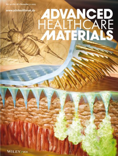 국제학술지 ‘어드밴스드 헬스케어 머테리얼스’ 전면 표지논문 이미지. 국립한밭대 제공