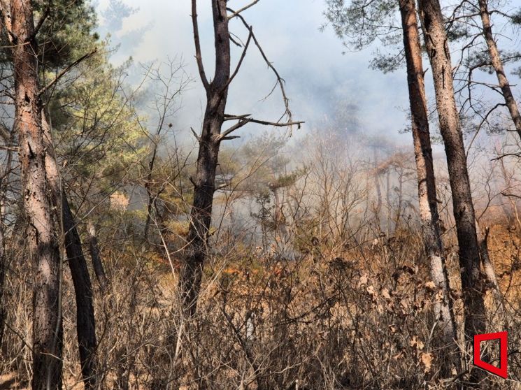 봉화 재산면 산불 진화율 80% 일몰 전 주불 진화 ‘총력’
