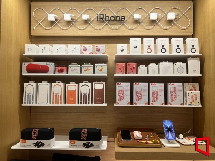 "이 가격이면 다이소 몇 번 가냐"…애플 키링 가격에 '깜짝'