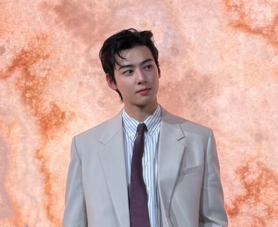 '200억 탈세' 의혹 차은우, 형사 처벌 가능성도