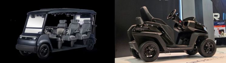 편리한 기능을 갖춘 럭셔리 리무진 카트(왼쪽)와 최첨단 기능을 장착한 1인승 골프 카트. 대동 모빌리티, 메이트모빌리티 제공