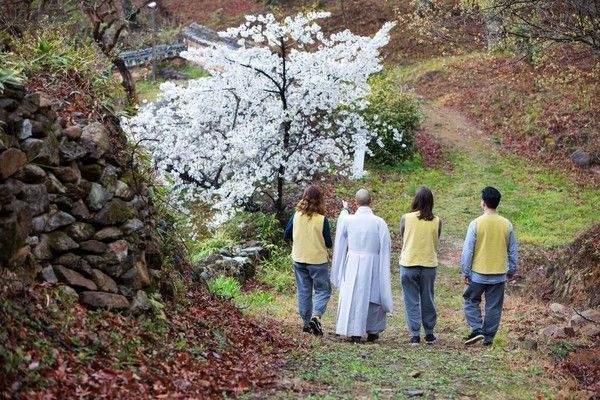 顺天松广寺寺庙寄宿项目的景象。韩国佛教文化事业团供图