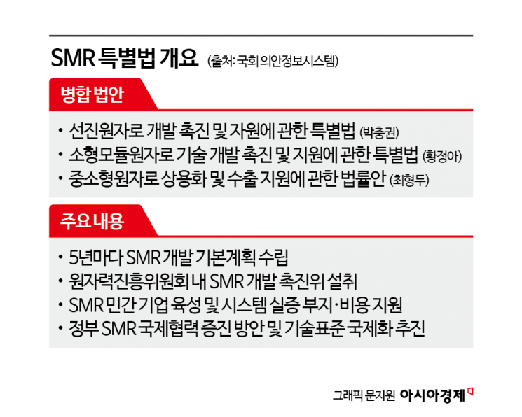 'SMR 특별법' 국회서 좌절…업계 "중국에 뒤처진다" 우려