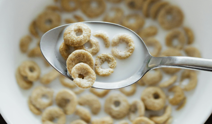 "오늘 아침에도 먹었는데…" 쥐·새 배설물 발견된 美 유통제품 대거 리콜