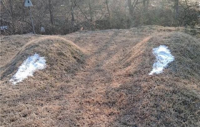 "조상 묘에 누군가 굵은소금 뿌려 놨다"…옥천서 경찰 수사