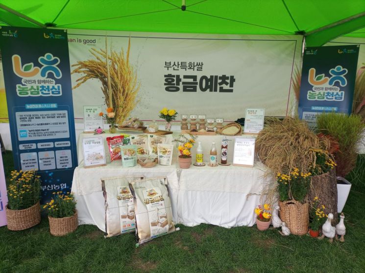 Preliminary Demand Survey Begins for Contract Cultivation of Busan Specialty Rice 'Hwanggeum Yechan'