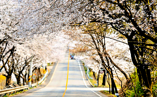 "매달 15만원씩" 소득·연령 제한 없는 지원금 덕에…전입 '껑충'