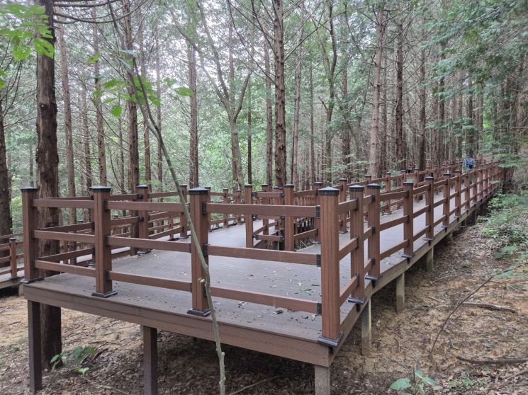 Jeonju City Completes Geonjisan Barrier-Free Sharing Path, an Open Forest Trail for All