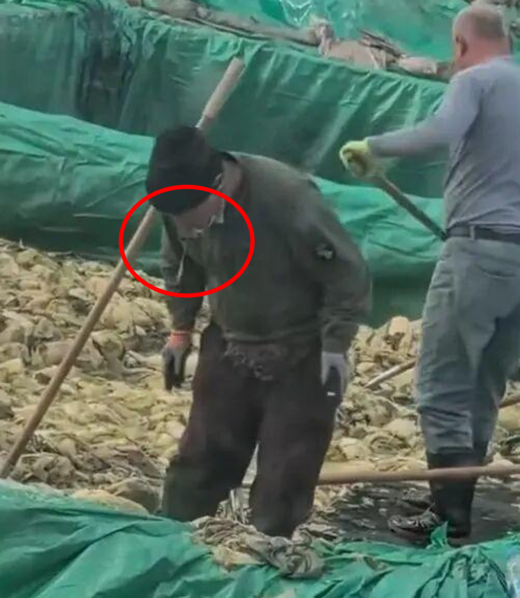 담배 피우고 침 뱉기…中절임배추 공장 대표에 벌금 2억원