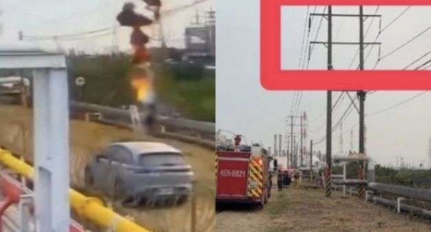 '이것' 한 마리 잡으려다 초고압 감전…대만 공업단지 정전에 원인 보니