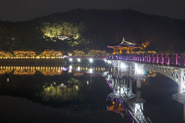 안동 월영교 야경