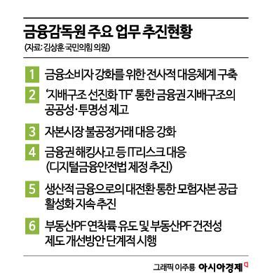 금감원 국회 업무보고 키워드는?…'소비자보호·지배구조·리스크 관리'