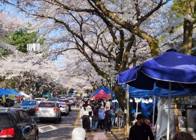 제주 ‘바가지요금’ 축제, 3년간 퇴출