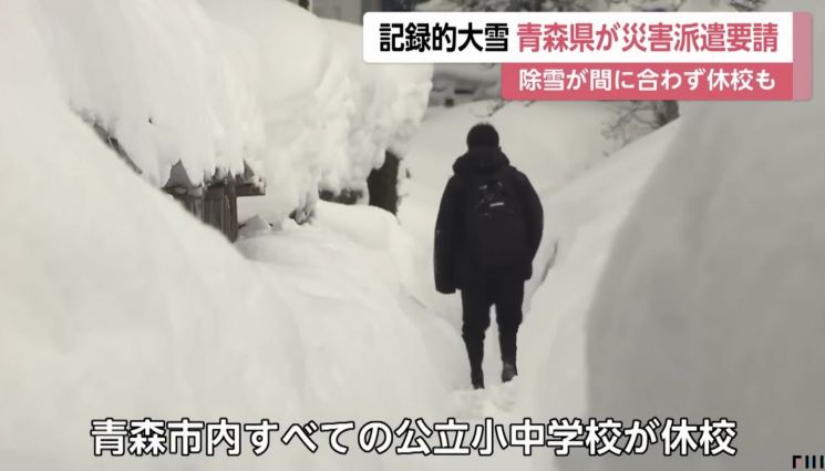 "괜히 갔다가 큰일 날라" 무서워서 여행 포기…폭설에 30명 숨지고 난리난 日