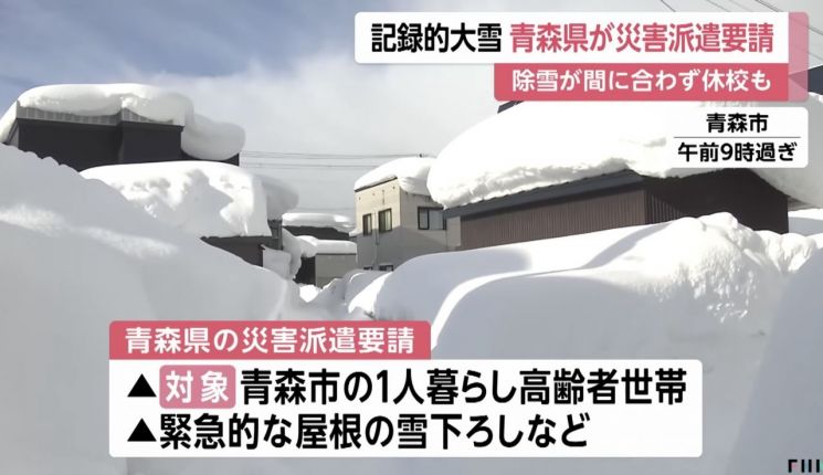 "괜히 갔다가 큰일 날라" 무서워서 여행 포기…폭설에 30명 숨지고 난리난 日