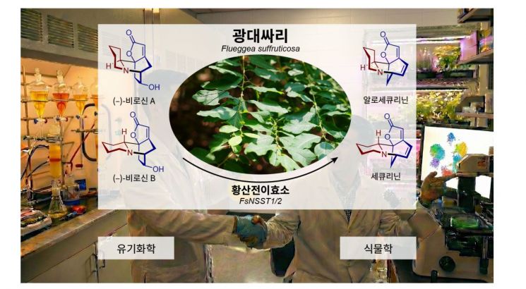 人工智能生成图像。KAIST提供