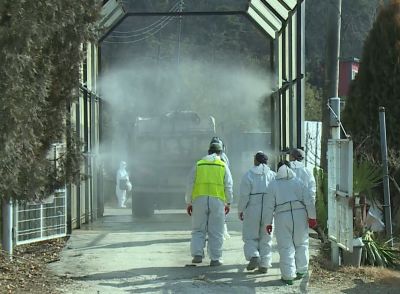 경남 창녕군 관계자가 아프리카돼지열병(ASF) 확산을 방지하기 위해 농가 출입 차량에 대해 소독을 하고 있다. 창녕군