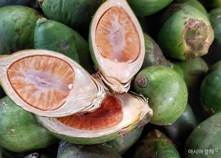 중국인 남성이 준 낯선 열매 먹었더니…젊은이들 사이 확산에 日 발칵 