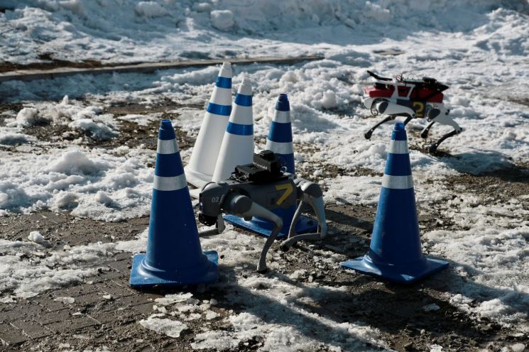 [노필터 로봇]얼음위에서 멈추고 넘어지고… 로봇개 좌충우돌 레이스