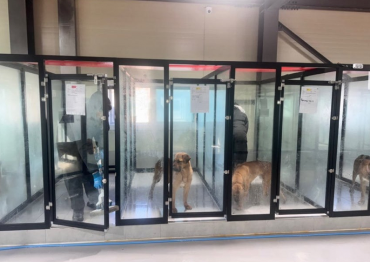 문 앞에서 머뭇거리더니 "구린내 너무 심해"…봉사 온 40명 학생들 태도 논란