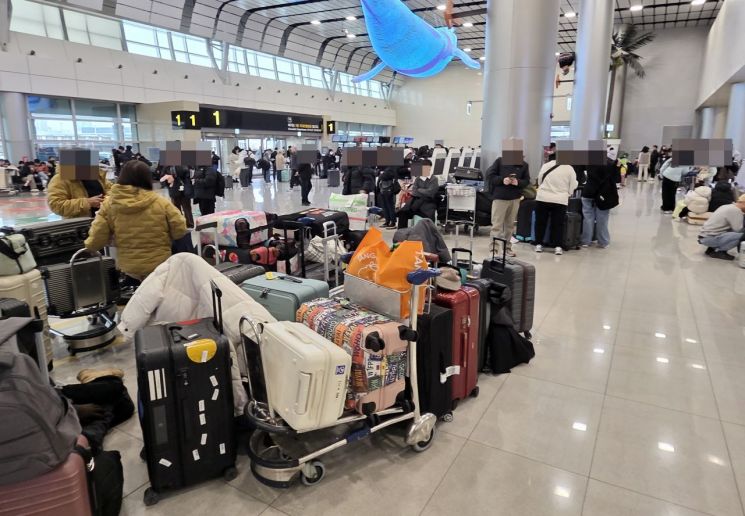 제주공항 '폭설' 잇단 결항에… 항공기 10편 추가 투입