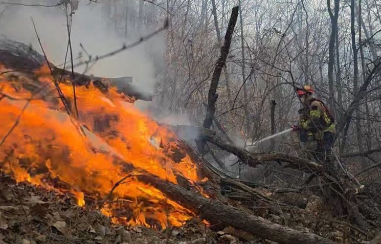 경주 문무대왕면 산불, 20여시간 만에 주불 진화