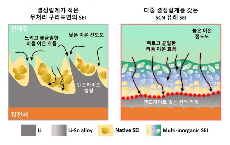在低晶界密度的未处理铜（Cu）表面形成的本征固体电解质界面（SEI）与具有多重晶界的 SCN 衍生固体电解质界面（SEI）对比示意图。