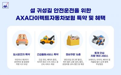 "설 귀성길, 보험으로 대비하고 차량 미리 점검"