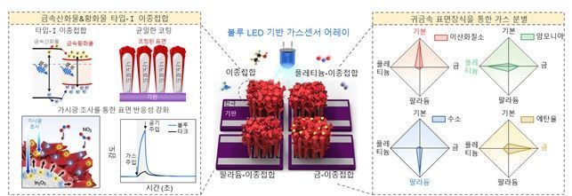 KRISS가 개발한 LED 기반 다종 식별 가스 센서 모식도. 금속산화물과 황화물(In₂O₃·In₂S₃) 기반 Type-I 이종접합 구조를 적용해 파란색 LED 흡수 효율과 표면 반응성을 크게 높였다. 여기에 팔라듐·백금·금 등 귀금속 촉매를 조합해 이산화질소, 암모니아, 수소, 에탄올을 선택적으로 구별하는 센서 배열을 구현했다. KRISS 제공