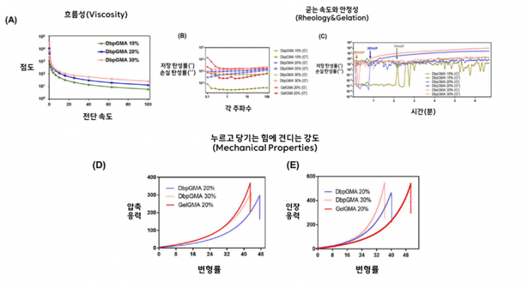 DbpGMA의 물리적 성질을 분석한 데이터. 한림대학교 제공