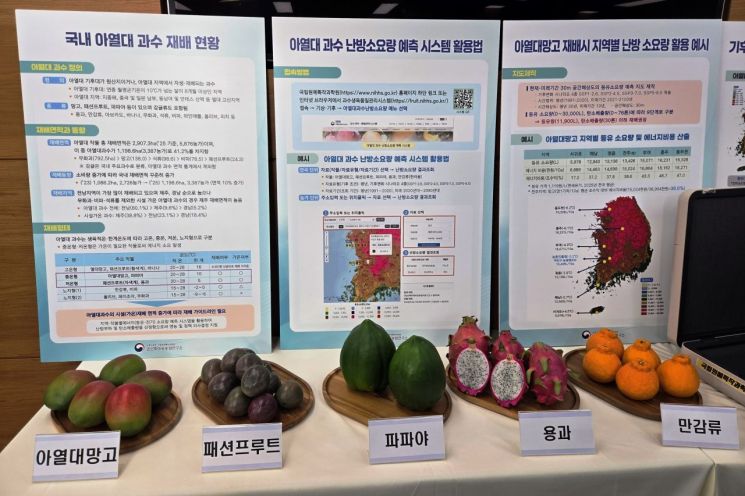 농진청이 구축한 '아열대 과수 난방 소요량 예측 정보 제공 시스템'을 이용하면 열대 망고와 패션프루트, 파파야, 용과, 만감류 등 5개 아열대 과수의 재배 지역별 난방 에너지 소요 수준을 확인할 수 있다. 주상돈 기자