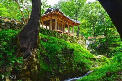 전남 담양 소쇄원. 전남 담양군 제공