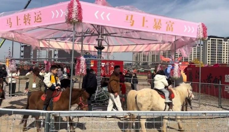 '5분에 6300원' 인기 폭발…살아있는 말로 만든 '회전목마' 학대 논란