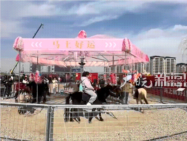 '5분에 6300원' 인기 폭발…살아있는 말로 만든 '회전목마' 학대 논란