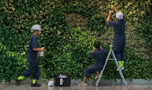 마초의사춘기, 브라더스키퍼 인수로 NXC 비즈니스 본격 확장