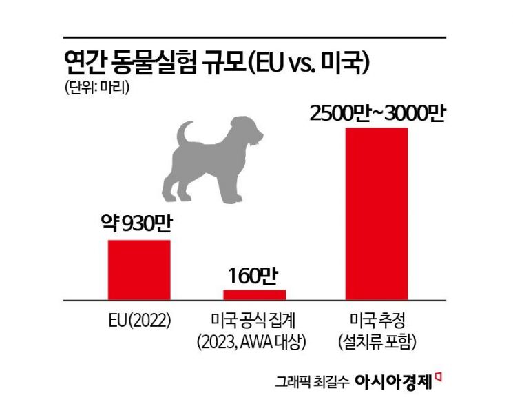 [과학을읽다] 동물을 대신할 오가노이드, 준비됐나