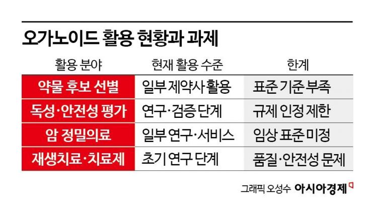 오가노이드는 무엇이고, 지금 어디까지 왔나[과학을읽다]