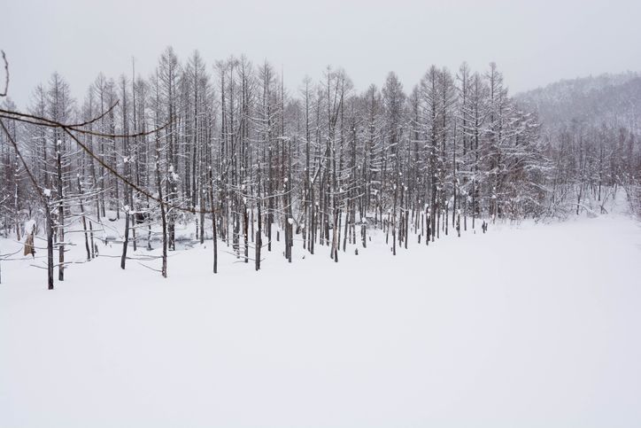 일본까지 가서 웬 민폐…韓 20대, 정규코스 밖에서 보드 타다 조난