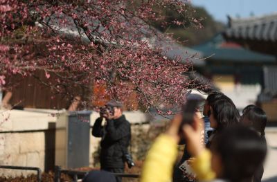[내일날씨]설 연휴 둘째 날도 포근…서쪽지역 짙은안개 주의